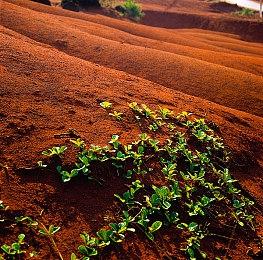 Wegame2023：《塔瑞斯世界》发布新预告